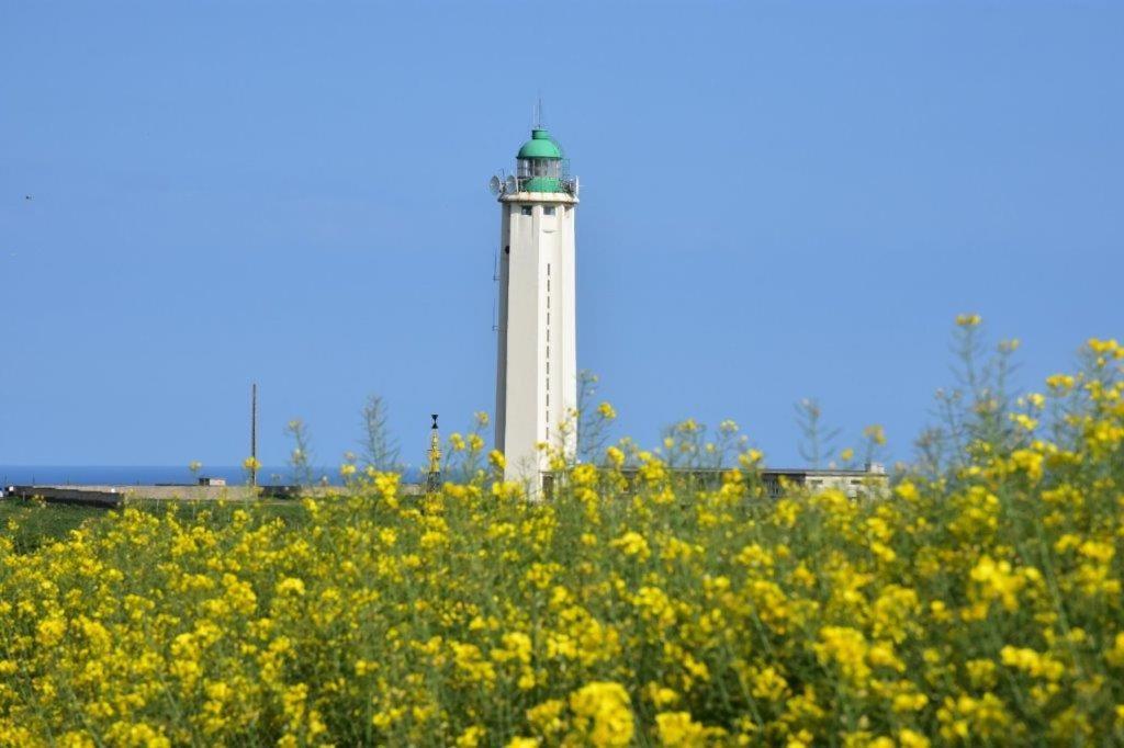 Le Fief Beaurepaire 76280 Bed & Breakfast Bagian luar foto