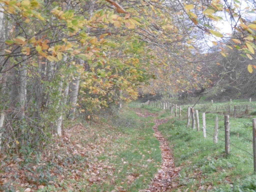 Le Fief Beaurepaire 76280 Bed & Breakfast Bagian luar foto