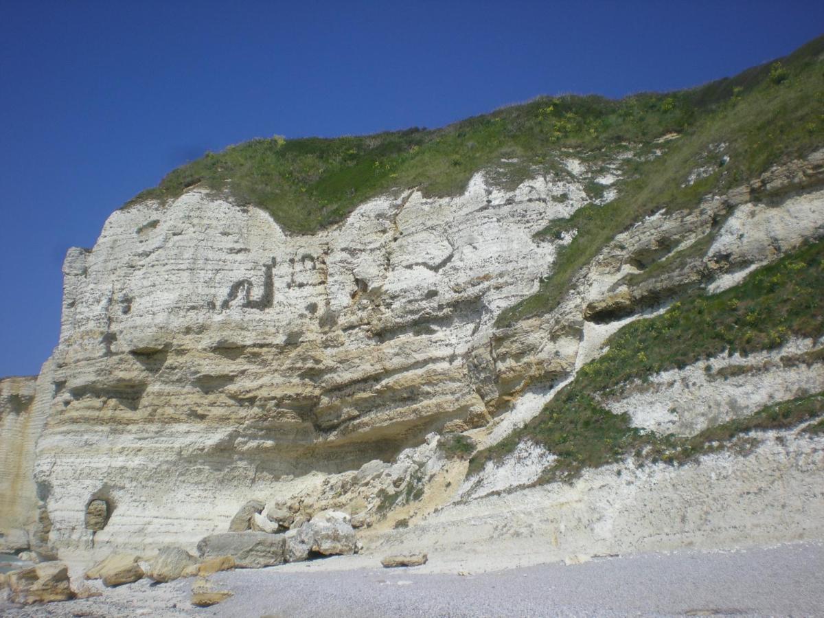 Le Fief Beaurepaire 76280 Bed & Breakfast Bagian luar foto